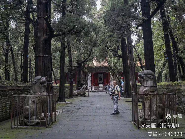 【孔府·孔庙·孔林】